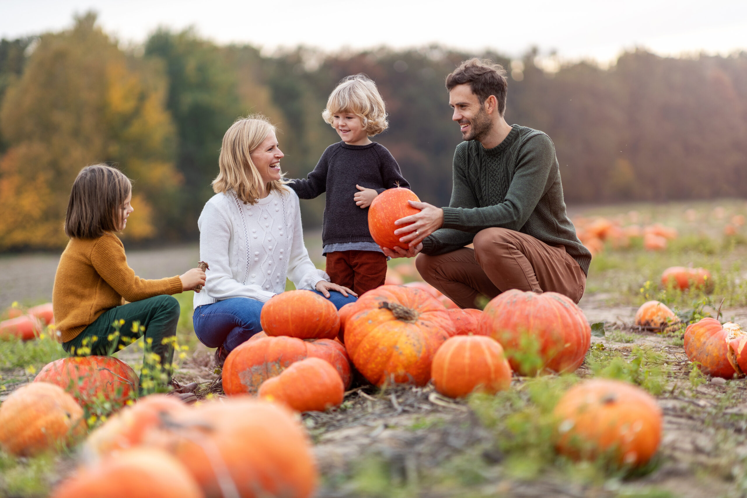 Autumn Family Staycations