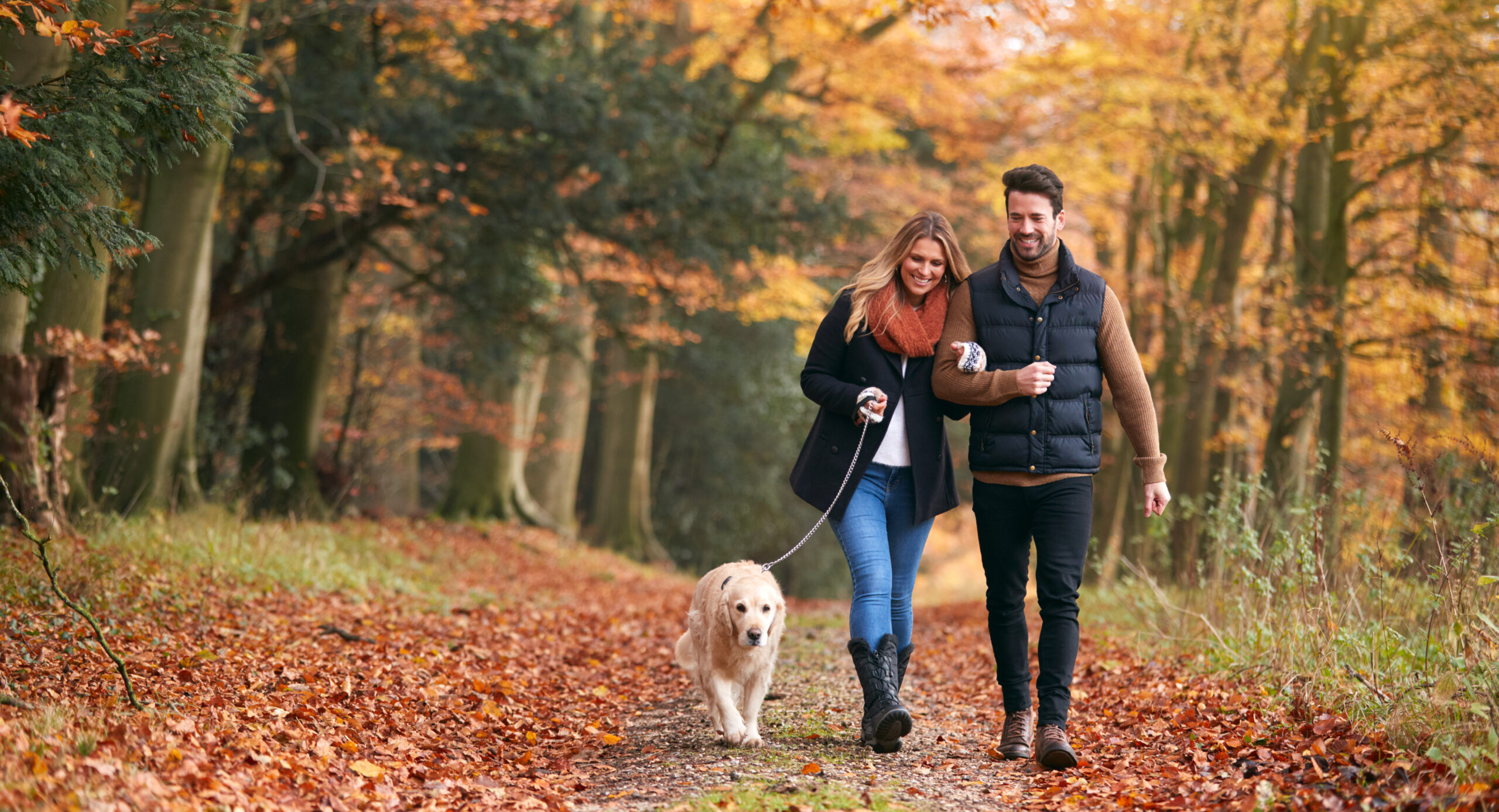Introducing Our Dog-Friendly Lodges at Johnstown Estate – A Tail-Wagging New Way to Stay!